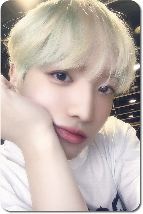 Карта / XIKERS #24