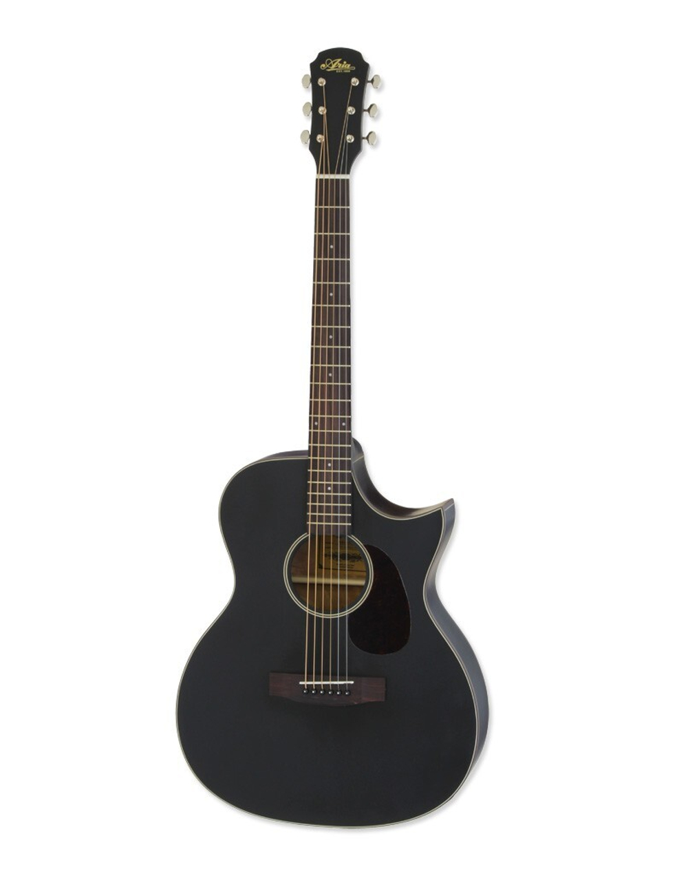 ARIA ARIA-101CE Matte Black