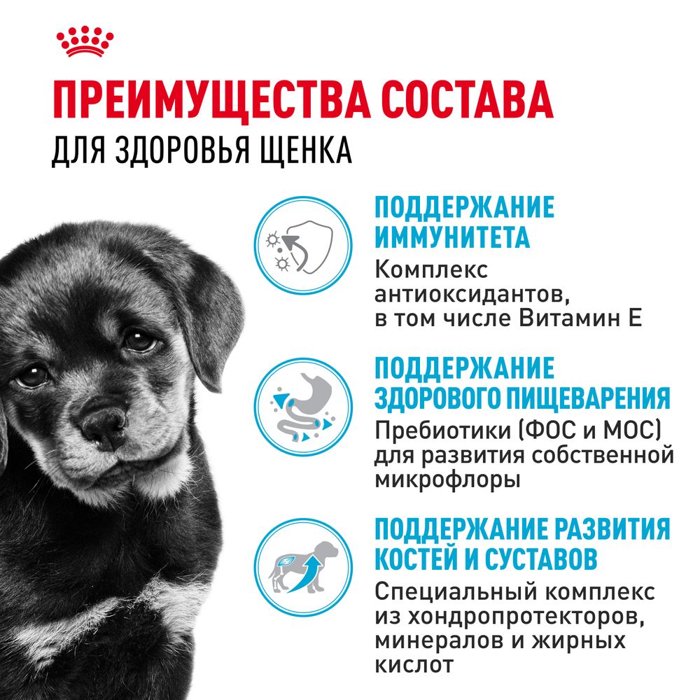 Сухой корм Royal Canin Rottweiler Puppy для щенков породы Ротвейлер до 18 месяцев
