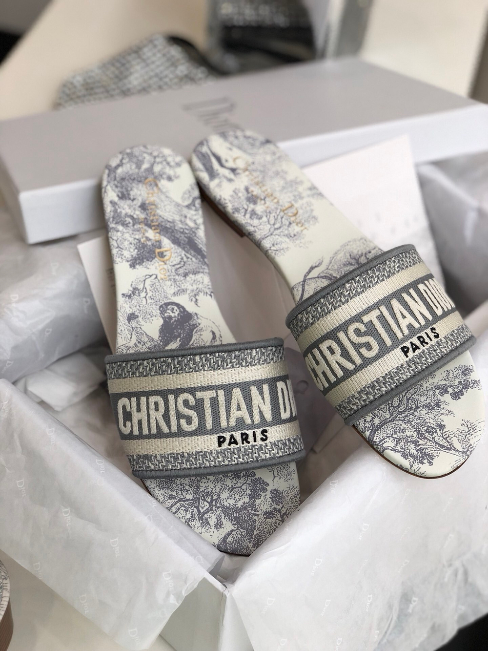 Christian Dior Dway Slide