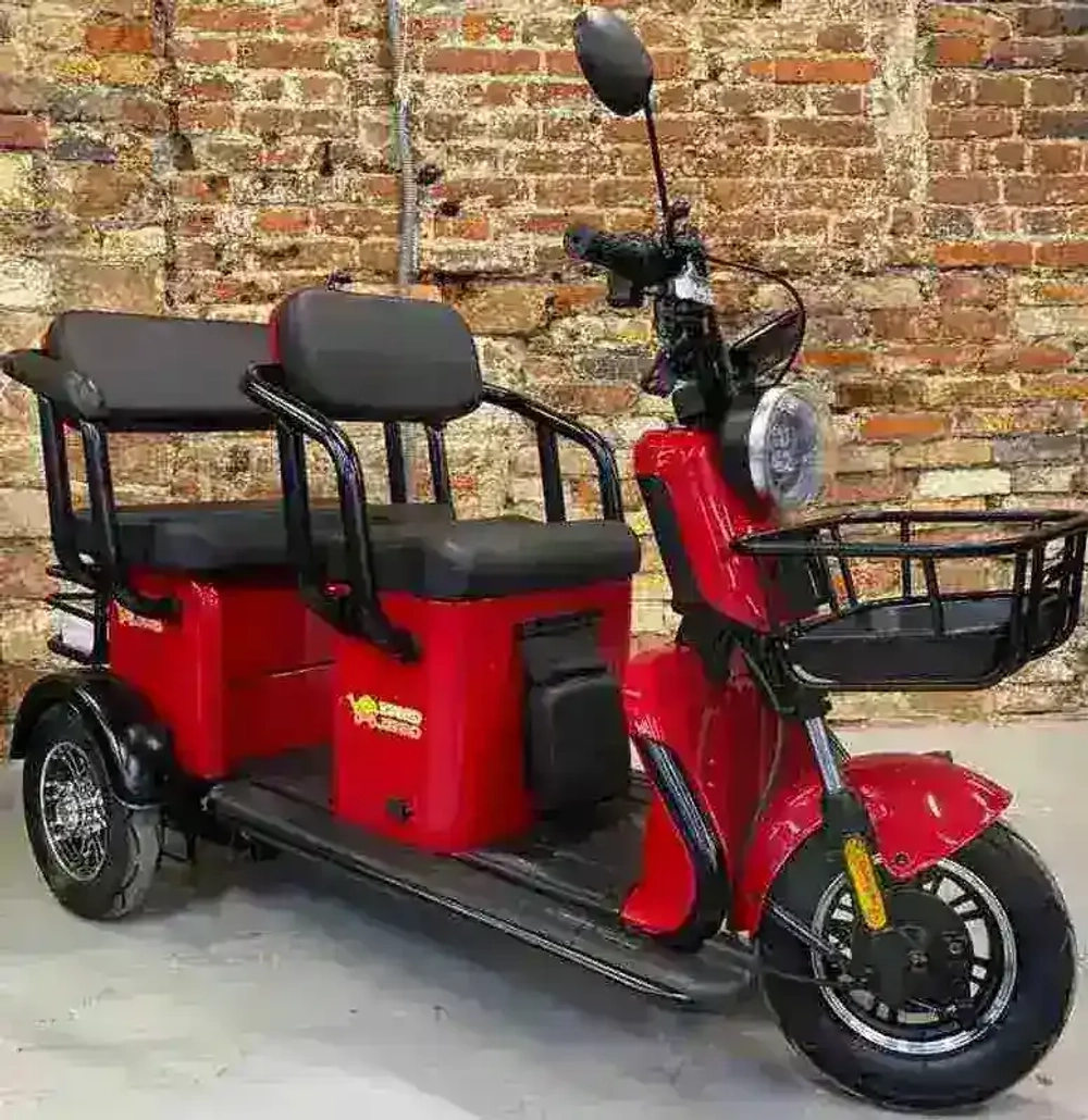 Электротрицикл Green Camel Пони Z8
