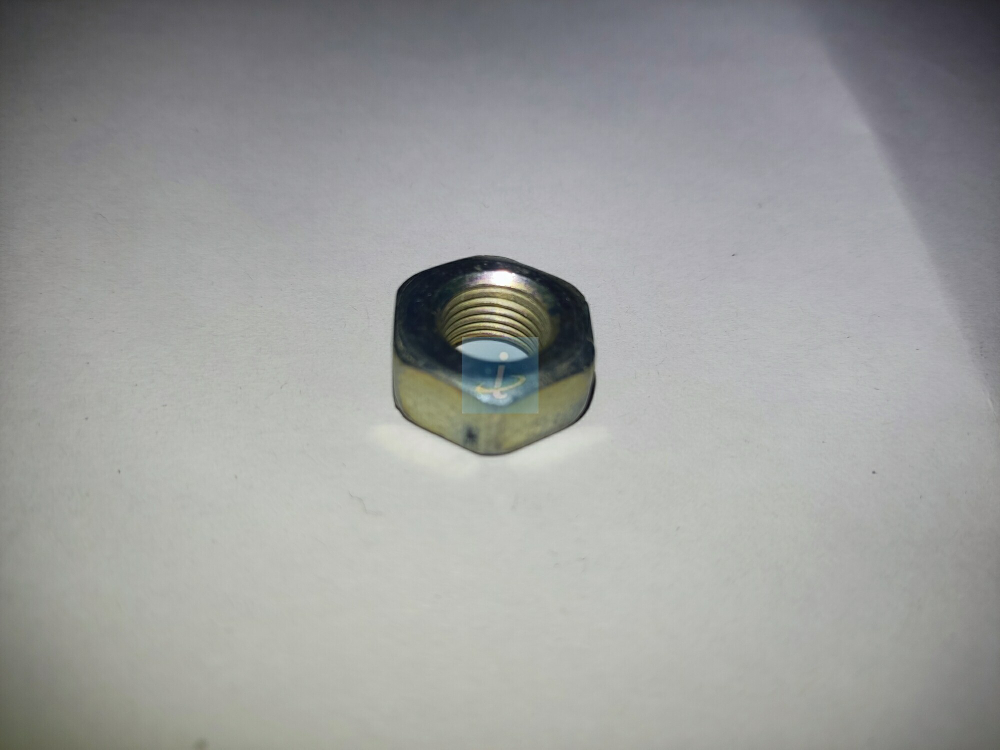 Гайка М10*1 250513-П29