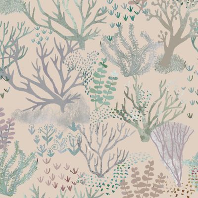 морской мир нежный