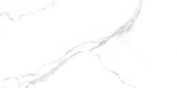 Statuario White PRO Керамогранит белый 60х120 матовый R10GR CB