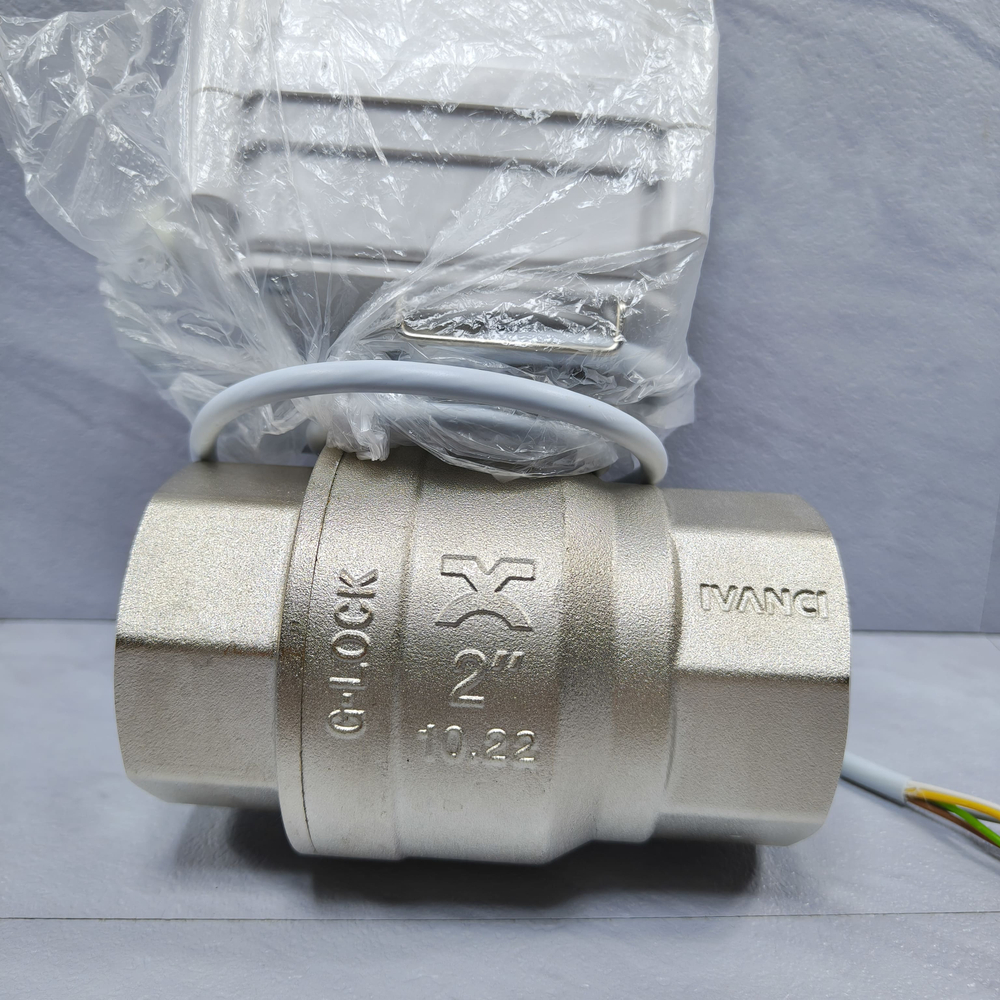 Gidrolock Professional 24V G-lock 2" BS FB