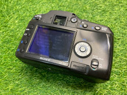 Sony A100