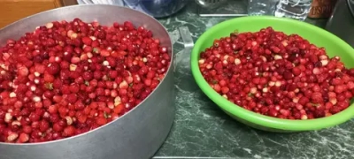 Варенье из лесной земляники
