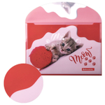 Папка-конверт с кнопкой BRAUBERG "FUNNY CAT" А4 160 мкм цветная печать (12 штук в упаковке)