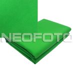 NF BGR Kit 2.9х2 Хромакей Зеленый