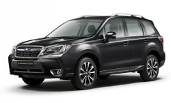 Упор (амортизатор) капота для Subaru Forester 5 (2018-) Autoinnovation.07-04