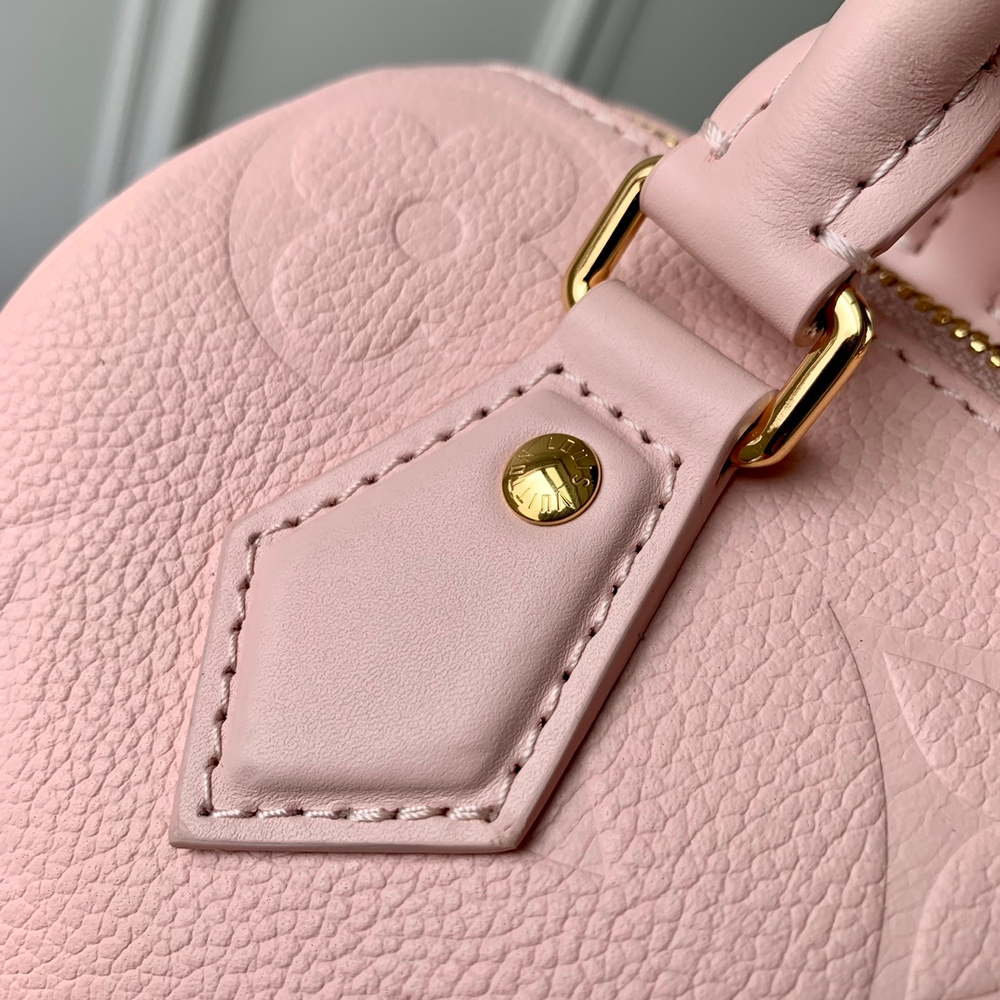 Louis Vuitton Speedy 20