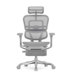 Кресло FALTO Ergohuman Luxury 2 с подножкой ( серый каркас /сетка светлаяT-168-B2 Natural)