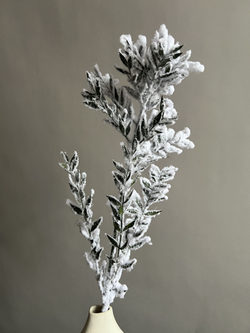 Рускус Flock Wit 1 ветка