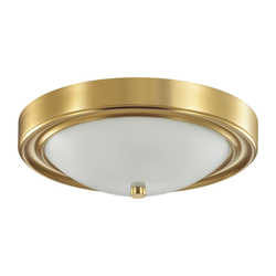 Накладной светильник Lumion 5259/2C