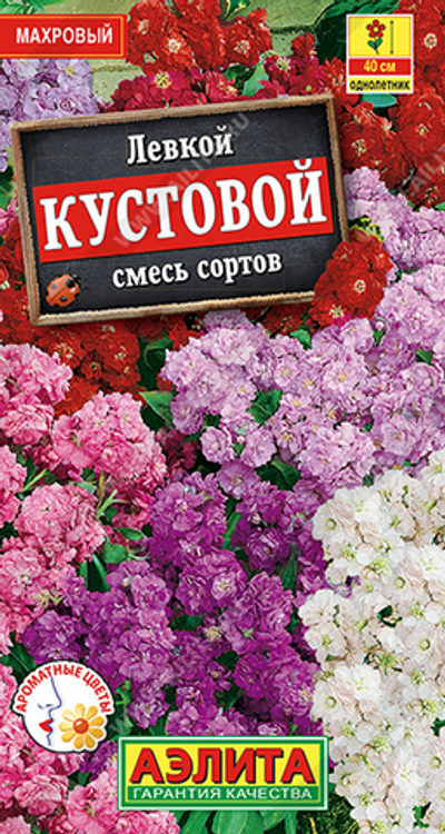 Левкой Кустовой, смесь сортов