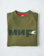 Толстовка МИР