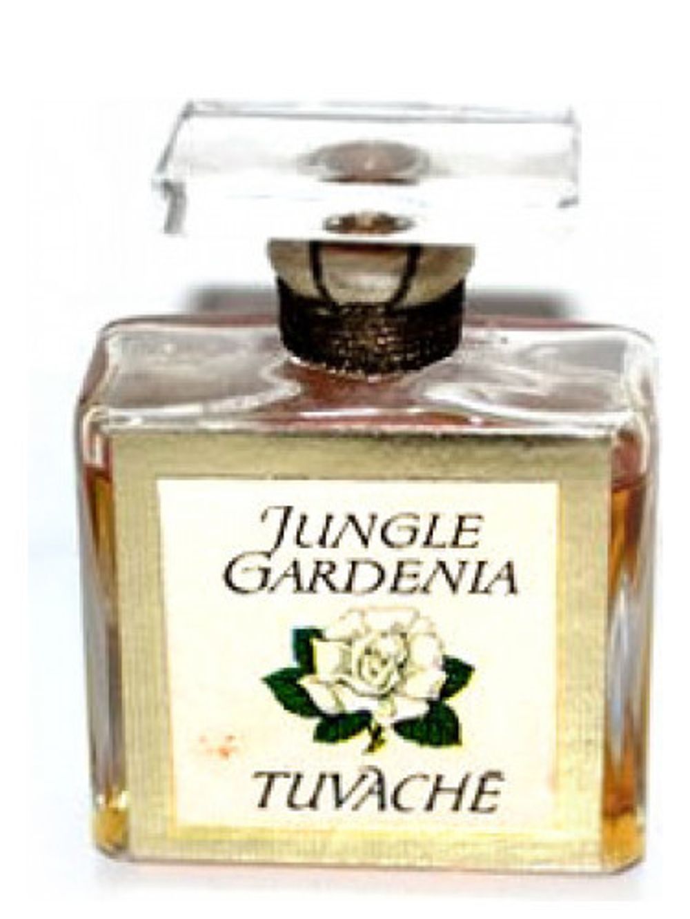 Tuvache Jungle Gardenia