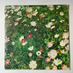 Винтажная виниловая пластинка LP Ирина Аллегрова Странник Мой (Россия 1992)
