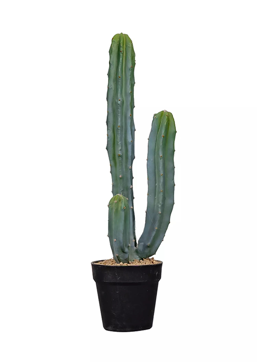 Кактус Цереус Мексиканский 64см