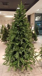 Искусственная ель «Валерио» (Литая+пвх) 270 см / 2.7 м