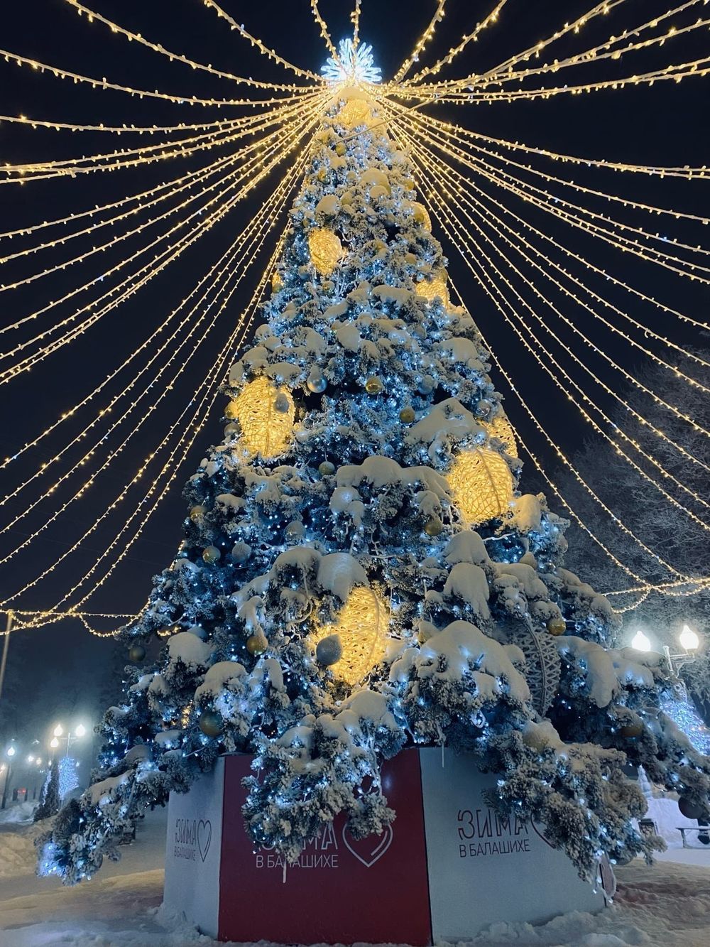 Светодинамическая елка ствольная - встроенная гирлянда: Теплый свет - "Таежная" от 11 до 21 м