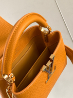 Louis Vuitton Capucines Mini