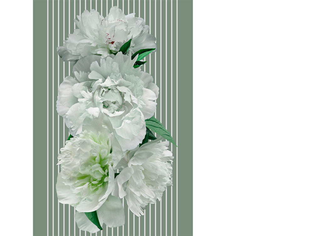 Коллекция GREENDAY 22