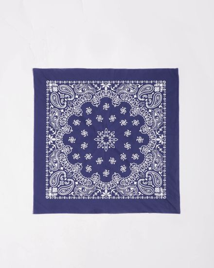 Бандана Anteater navy