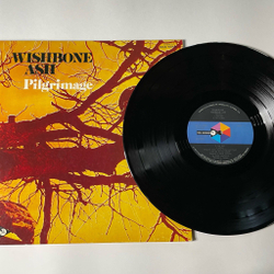 Винтажная виниловая пластинка LP Wishbone Ash Pilgrimage (Japan 1972) (No Obi) Jail Bait
