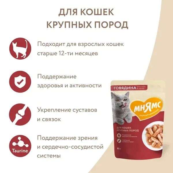 Уценка! Срок 14.07.26/ Пауч Мнямс для крупных кошек, кусочки в соусе с говядиной