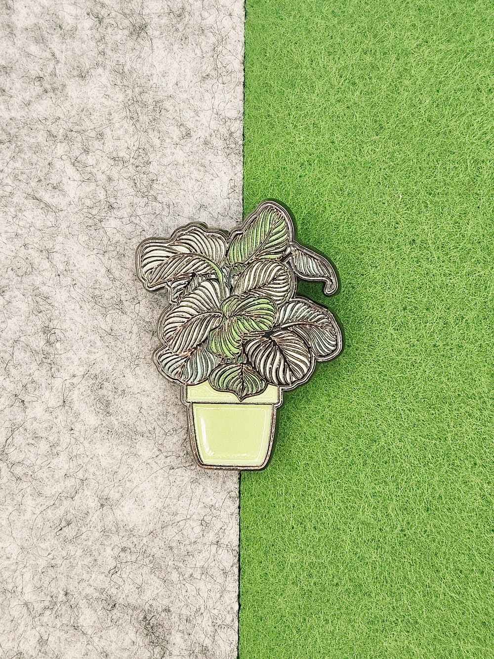 Значок Калатея