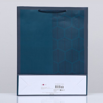 9592346 Пакет "Деловые линии"