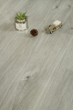 SPC ламинат OneFloor ECO 8005