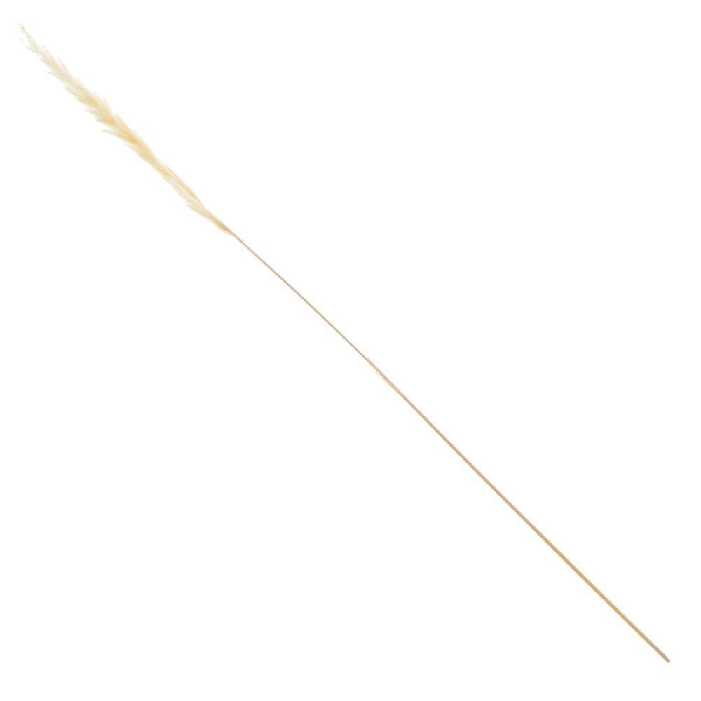 GAEM Ветка "Сухоцвет", набор из 15 шт, L7 W7 H67 см