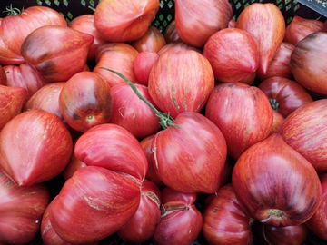 Разбитое сердце (Crushed heart) сорт томата