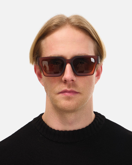 Очки Anteater Президент Коричневый