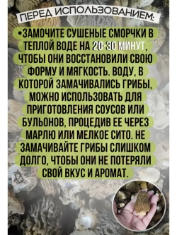 Сморчки