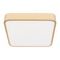 Потолочный светодиодный светильник Loft IT Flims 10228/C