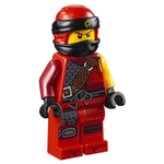 LEGO Ninjago: Крыло судьбы 70650 — Destiny's Wing — Лего Ниндзяго