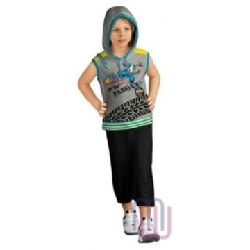 Джемпер для мальчиков Pelican BVK 160