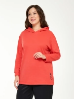 Лонгслив с капюшоном