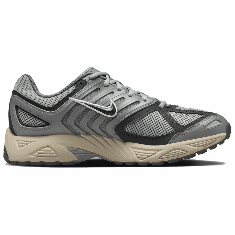 Кроссовки Nike Air Pegasus 2005