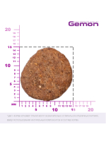 Сухой корм Gemon Dog Mini для взрослых собак мелких пород, с лососем и рисом 1 кг