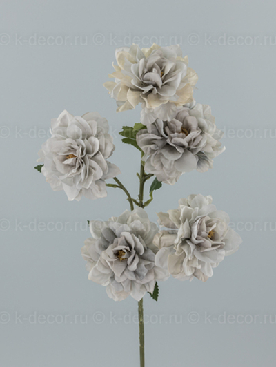 Ветка пион Альтаир