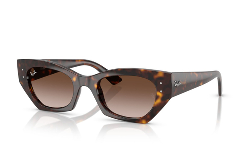 Ray Ban 4430 135913