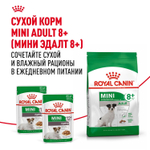 Royal Canin Mini Ageing 12+ Корм консервированный для стареющих собак мелких размеров 85г