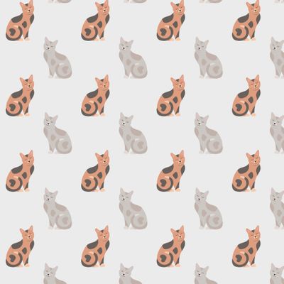 Коты