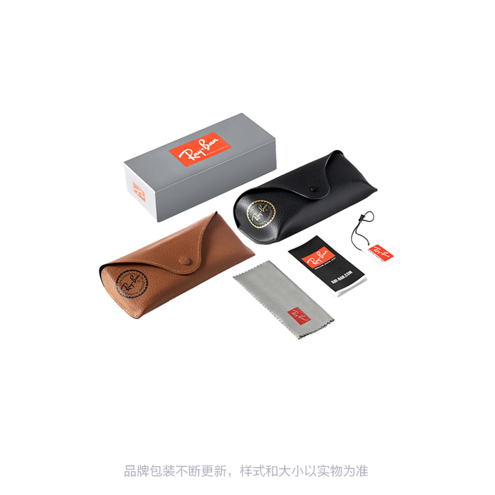 RayBan Injection Molded Irregular Shape Sunglasses Women"s