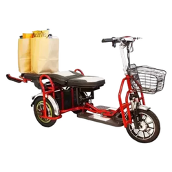Трехколесный электросамокат Elbike Адъютант Double A3 (350W 48V 12Ah) Trike