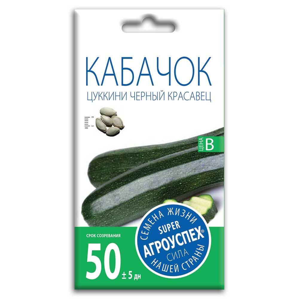 kabachok_tsukkini_chernyy_krasavets_semena_agrouspekh_2g
